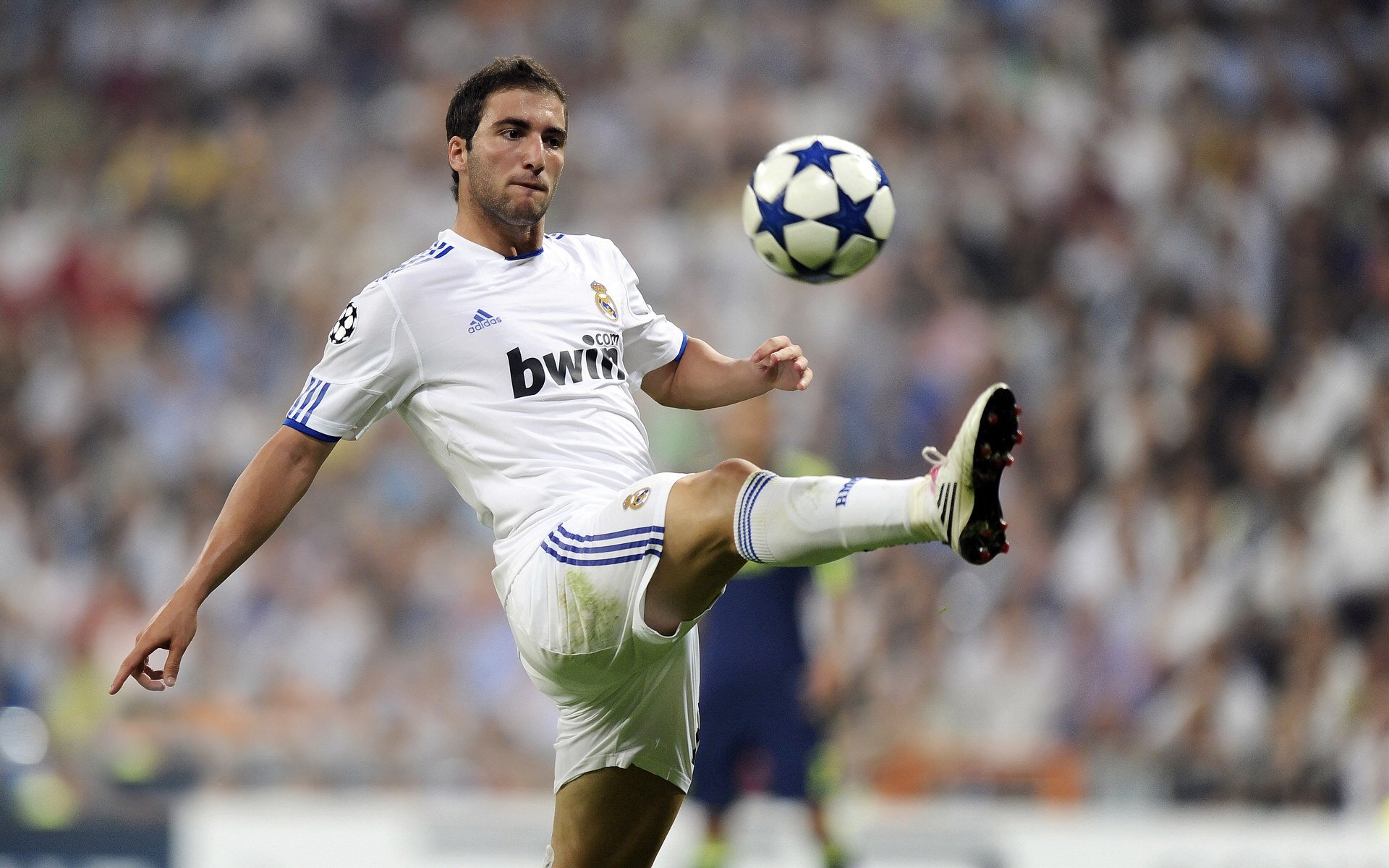 开云APP-捷克大将风骚绝伦,力挫法国晋级形势一片大好,播放捷克将军是哪里