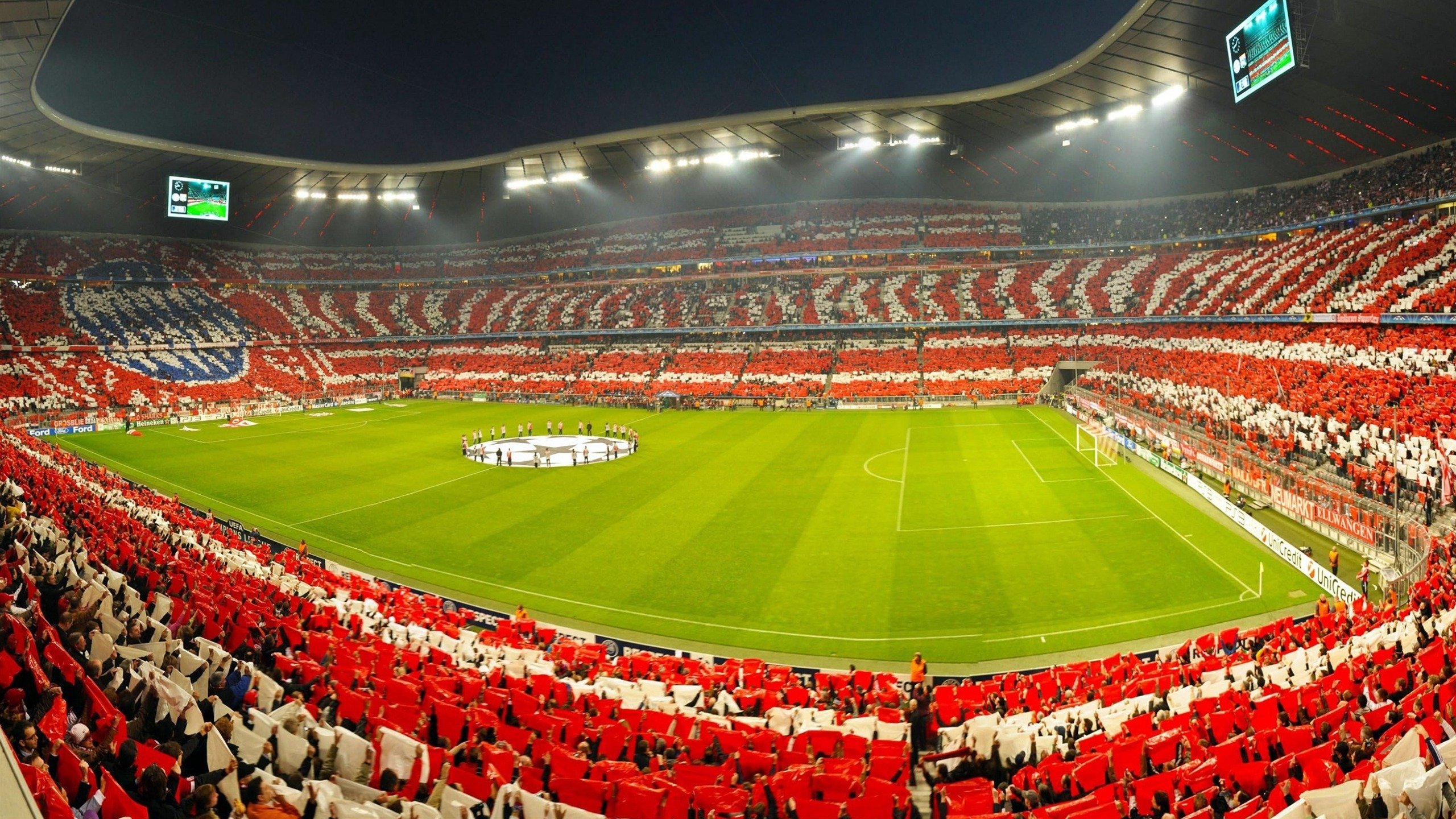 开云中国-张伟丽鼓励更多女孩尝试格斗运动，张伟丽的格斗视频